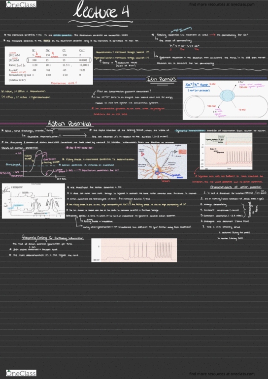 CBNS 106 Lecture Notes - Lecture 4: Goldman Equation, University Of Manchester, Action Potential thumbnail