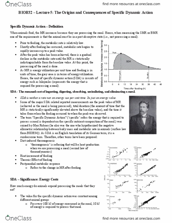 document preview image