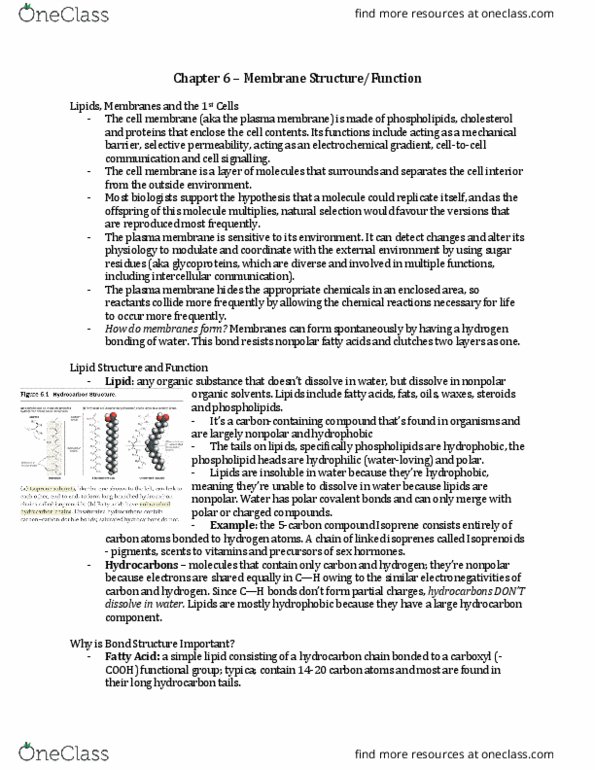 BIOL 1000 Chapter Notes - Chapter 6: Electrochemical Gradient, Terpenoid, Cell Signaling thumbnail