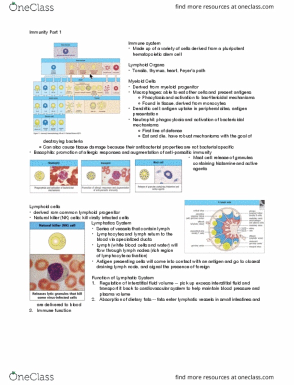 BIOL 252 Lecture Notes - Lecture 1: Natural Killer Cell, Lymphopoiesis, Antigen-Presenting Cell thumbnail