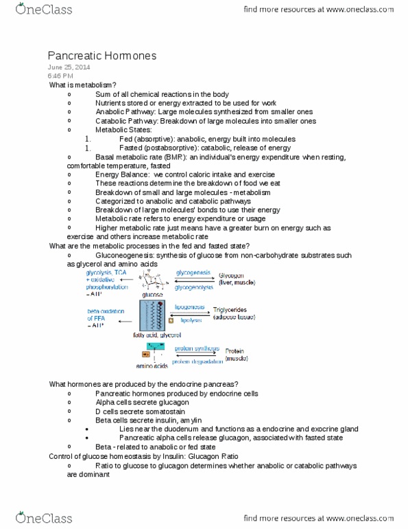 PSL300H1 Lecture Notes - Lecture 7: Adipose Tissue, B-Cell Receptor, Glycogen thumbnail