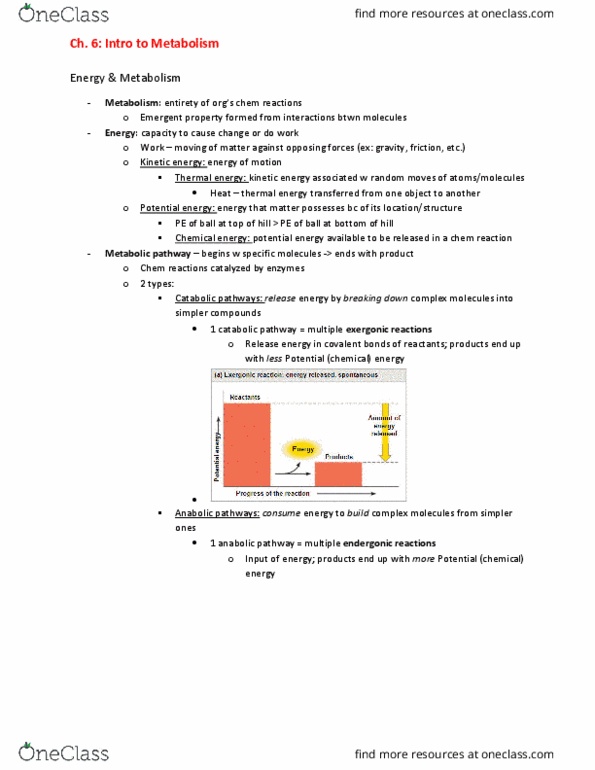 BIO 101 Chapter Notes - Chapter 6: Anabolism, Thermal Energy, Metabolic Pathway thumbnail