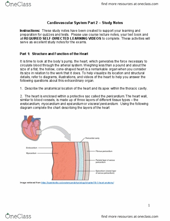 HSCI10171 Lecture Notes - Lecture 8: Thoracic Cavity, Pericardium, Endocardium thumbnail