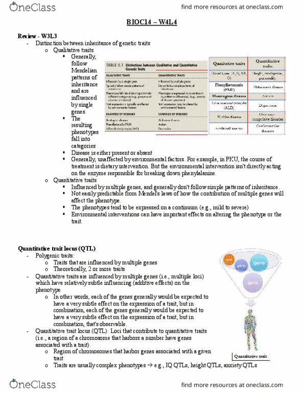 BIOC14H3 Lecture Notes - Lecture 4: Mendelian Inheritance, Phenylalanine, Chromosome thumbnail