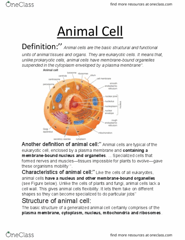 BIOLOGY Lecture Notes - Cell Membrane, Prokaryote, Melanin thumbnail