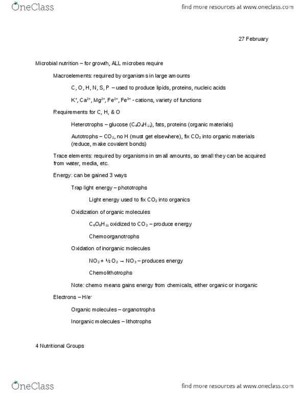 MIP 300 Lecture Notes - Flagellum, Phototroph, Radiant Energy thumbnail