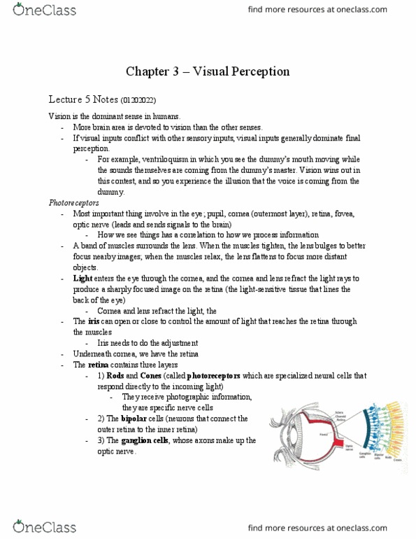 PS260 Lecture Notes - Ventriloquism, Retina, Necker Cube thumbnail