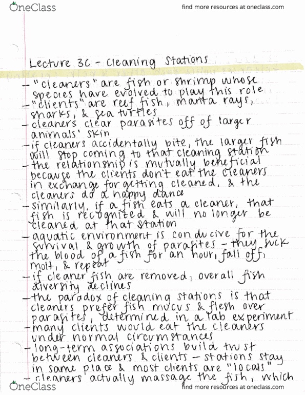 ECOL 170C3 Lecture : Lecture 3C - Cleaning Stations thumbnail