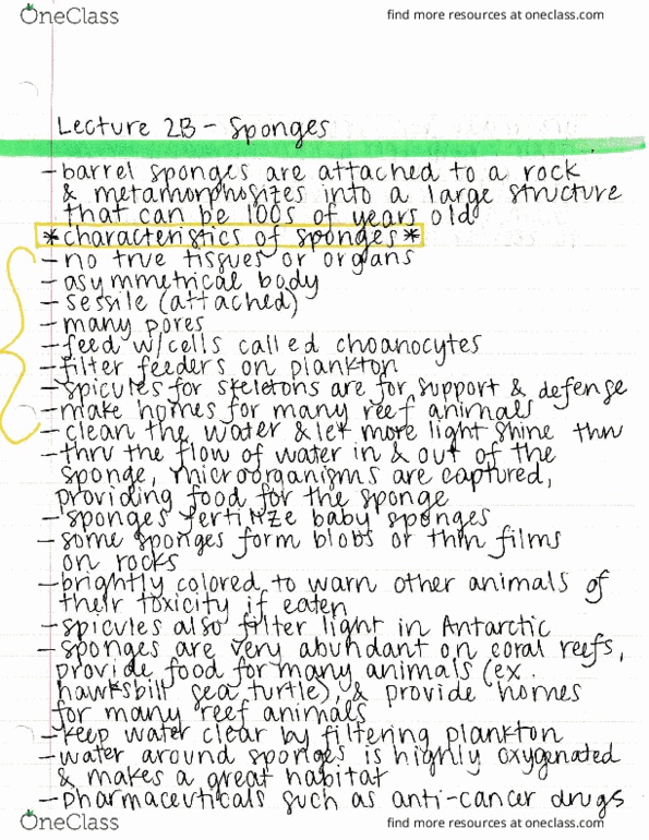 ECOL 170C3 Lecture : Lecture 2B - Sponges thumbnail