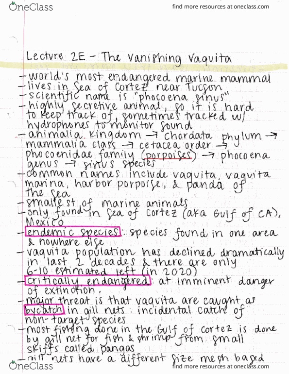 ECOL 170C3 Lecture : Lecture 2E - The Vanishing Vaquita thumbnail