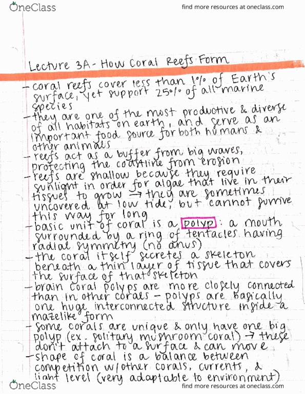 ECOL 170C3 Lecture : Lecture 3A - How Coral Reefs Form thumbnail
