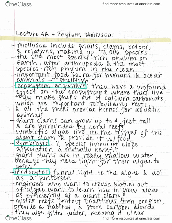 ECOL 170C3 Lecture : Lecture 4A - Phylum Mollusca thumbnail