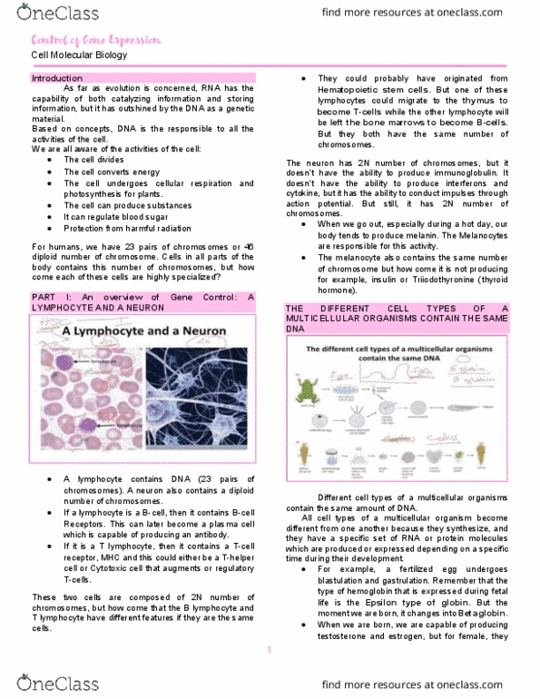 CMB Lecture Notes - Hematopoietic Stem Cell, T Cell, B Cell thumbnail