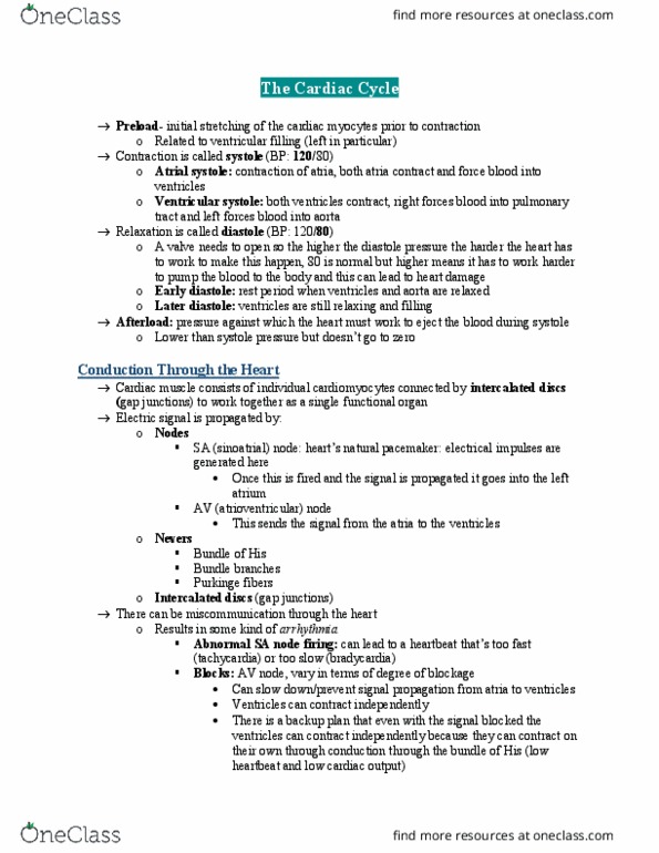 document preview image