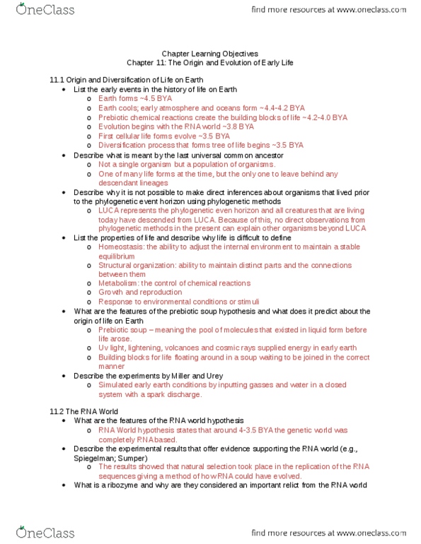 BIOL 3040 Chapter Notes - Chapter 11: Proofreading, Homeostasis, Ribozyme thumbnail