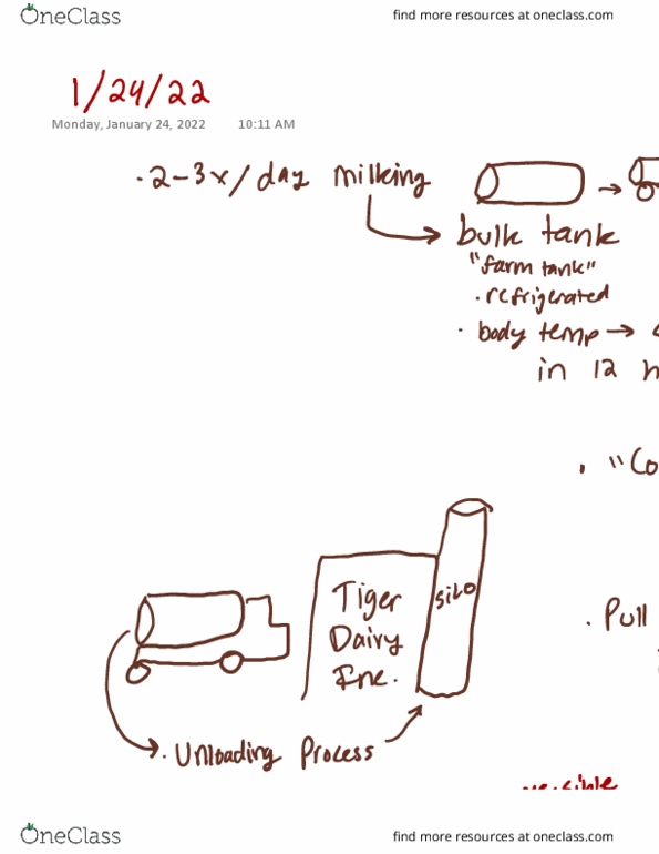 AVS-4130 Lecture : dairy products thumbnail