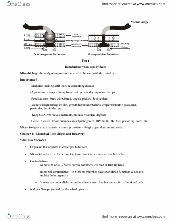 BIOL 2051 Quiz: Microbiology Test 1 (scored 92%) - OneClass