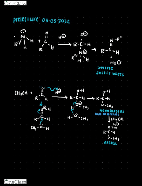 CHEM 331 Chapter Notes -Butanone, Enol, Enamine thumbnail