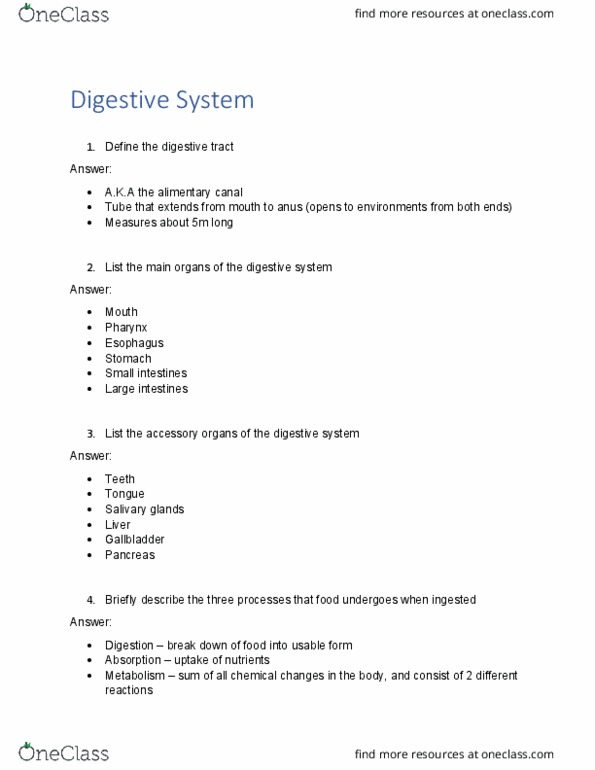 ANAT1052 Lecture Notes - Gastrointestinal Tract, Salivary Gland, Digestion thumbnail