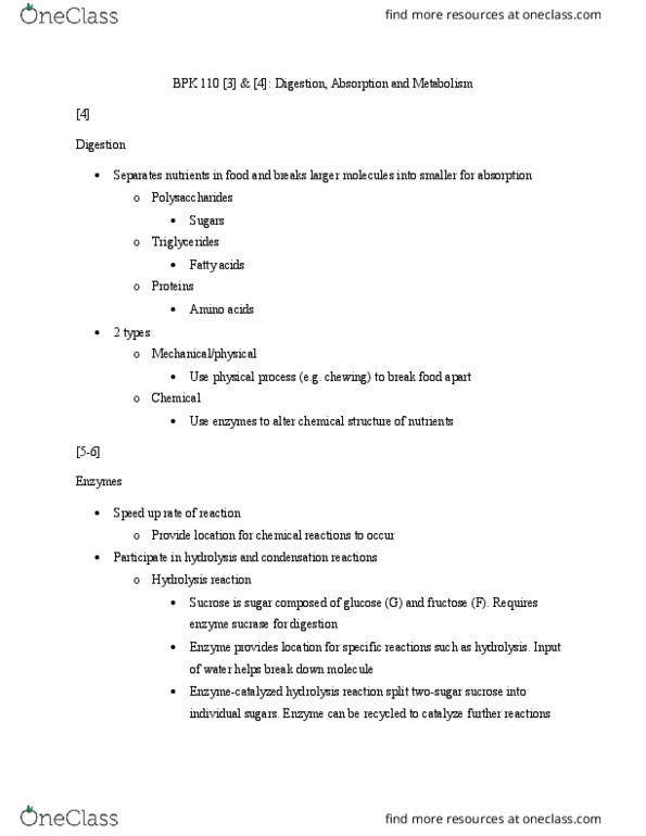 document preview image