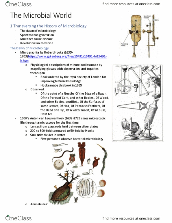 BIOLOGY 2EE3 Lecture Notes - Antonie Van Leeuwenhoek, Robert Hooke, Animalcule thumbnail