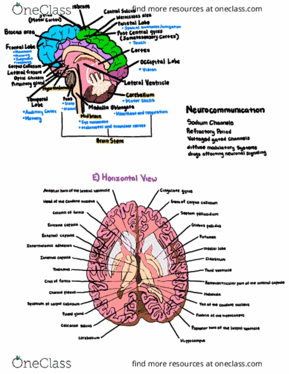 document preview image