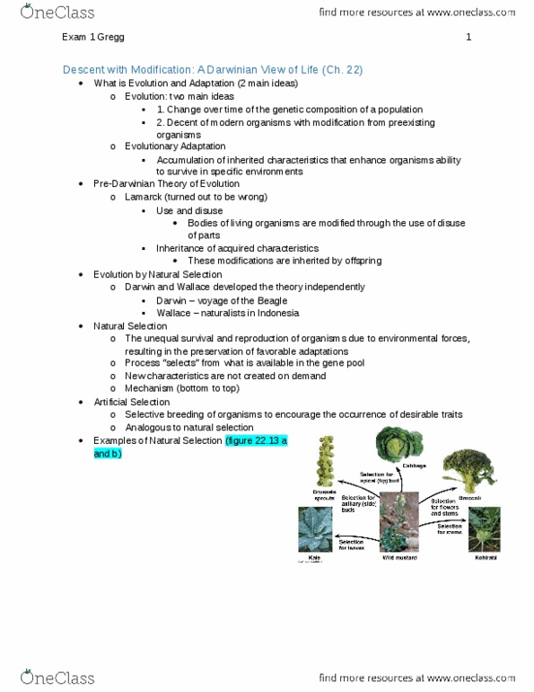 BIOL 1002 Midterm: BIOL 1002 General Biology Exam 1 Notes - OneClass