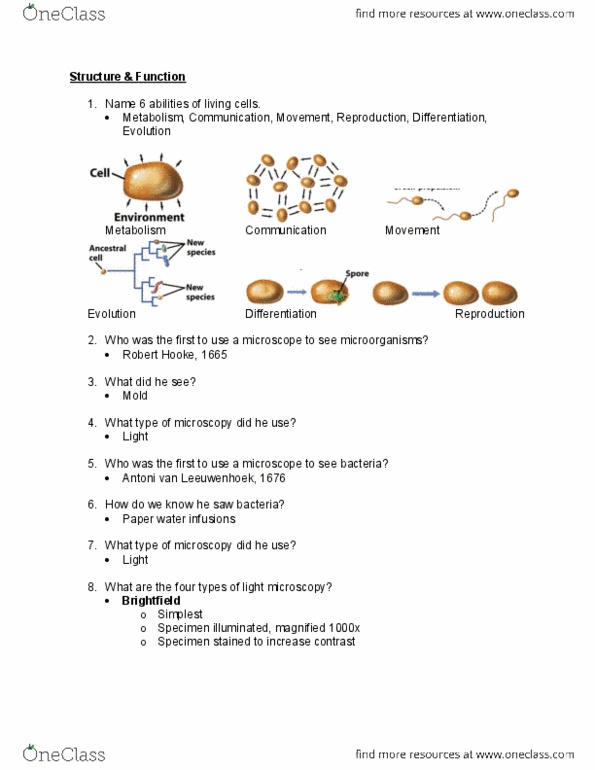 BIOL 2051 Lecture Notes - Phospholipid, Carboxysome, Gram-Positive Bacteria thumbnail