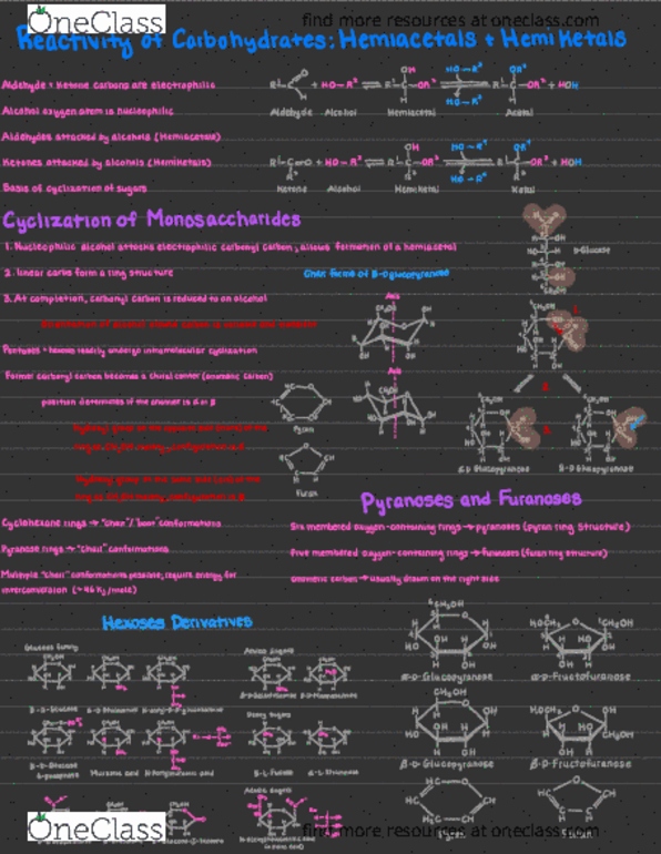 BIO 360 Chapter : Module 4_ Lesson 2 Carbohydrate Cyclization thumbnail