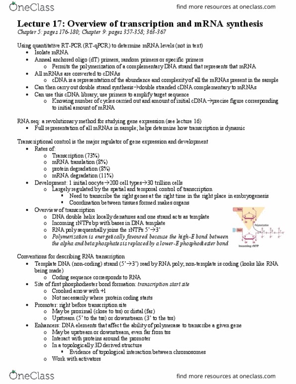 BIOL 201 Lecture Notes - Rna-Seq, Complementary Dna, Phosphodiester Bond thumbnail