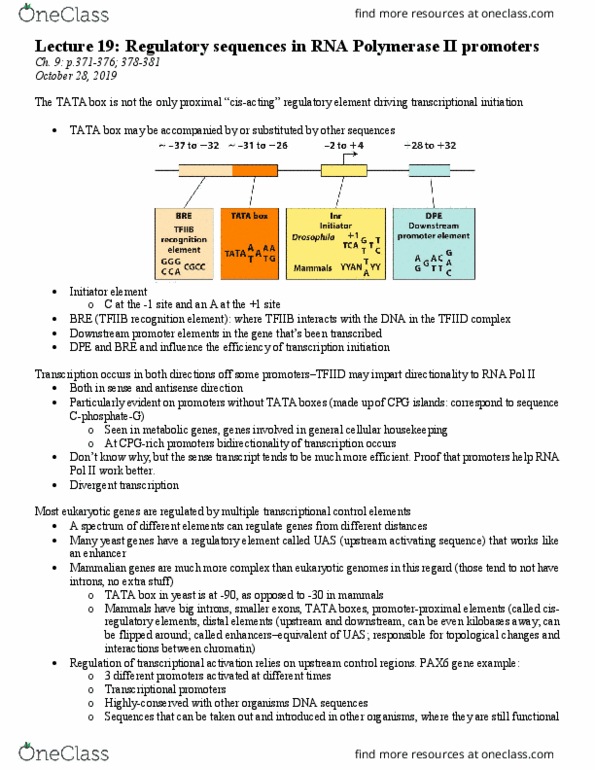 BIOL 201 Lecture Notes - Rna Polymerase Ii, Cis-Regulatory Element, Tata Box thumbnail