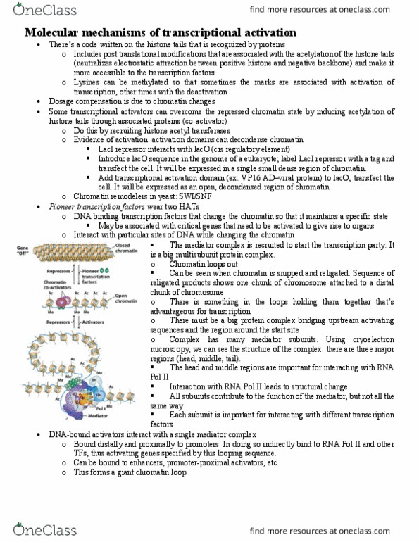 BIOL 201 Lecture Notes - Lecture 22: Herpes Simplex Virus Protein Vmw65, Transfection, Dosage Compensation thumbnail