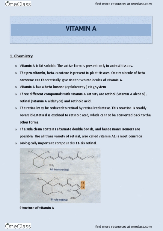 document preview image
