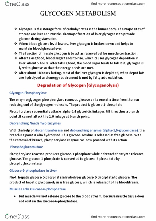 document preview image