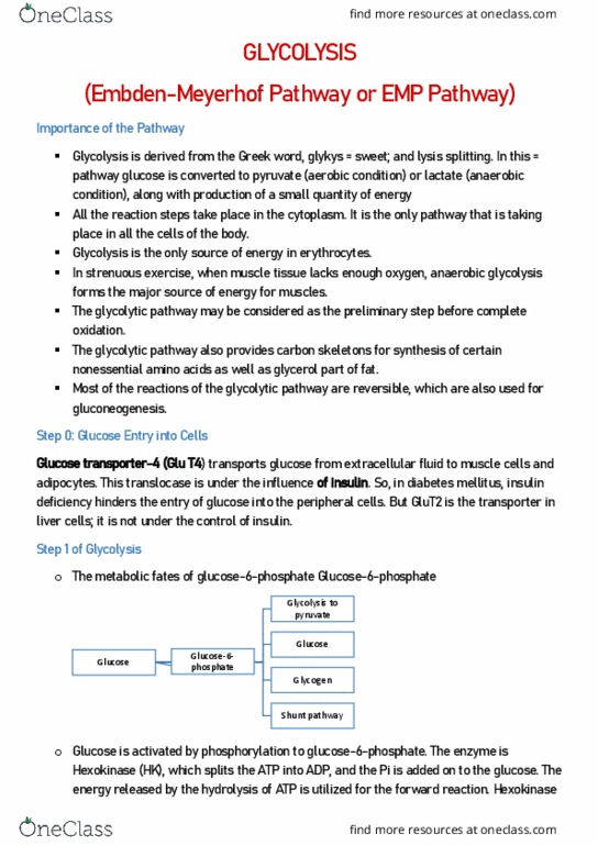 document preview image