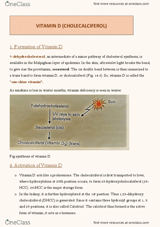 document preview image
