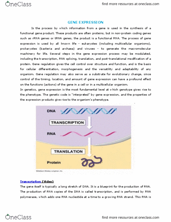AGRICULTURE MICROBIOLOGY Lecture Notes - Rna Splicing, Post-Translational Modification, Cellular Differentiation thumbnail
