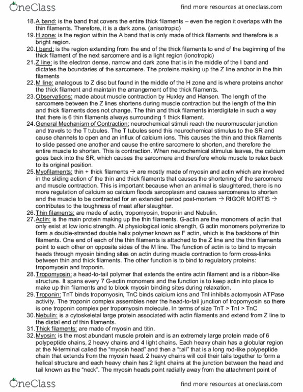 BIOL 240 Chapter Notes - Chapter 2: Neuromuscular Junction, Nebulin, Ionic Strength thumbnail