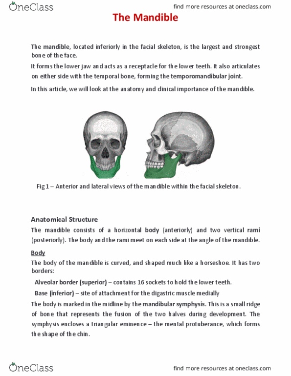 Lecture : The Mandible - Structure - Attachments - clinical relevance thumbnail