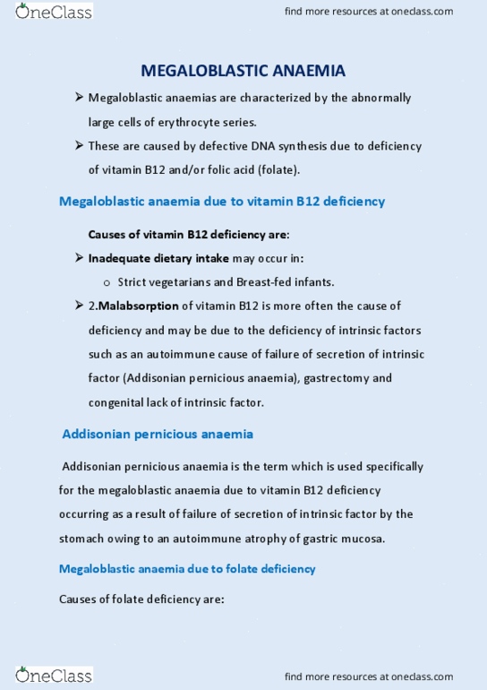 BIO Lecture Notes - Megaloblastic Anemia, Vitamin B12 Deficiency, Pernicious Anemia thumbnail