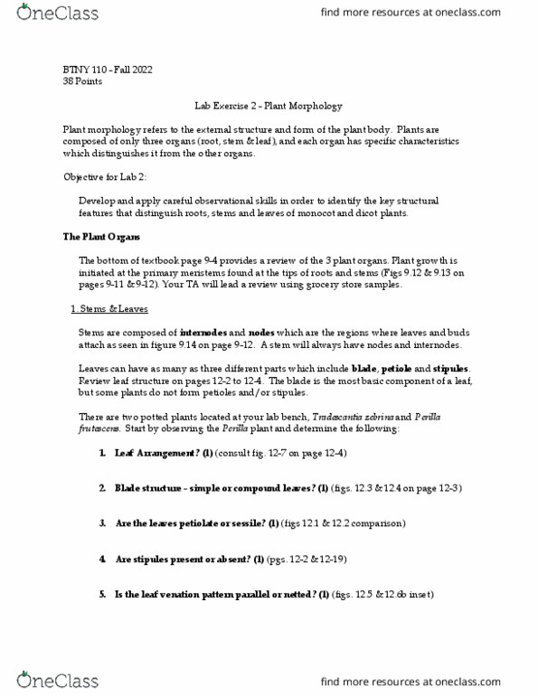 BTNY 11000 Lecture Notes - Lecture 3: Perilla Frutescens, Plant Morphology, Dicotyledon thumbnail