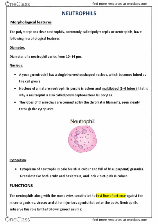 Lecture : NEUTROPHILS-features-functions-variation in counts thumbnail