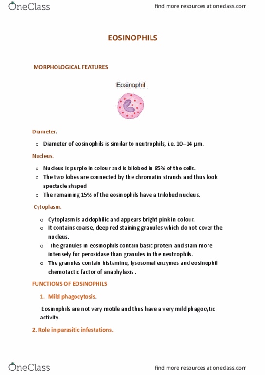 BIO Lecture Notes - Lecture 1: Eosinophil, Chemotaxis, Acidophile thumbnail