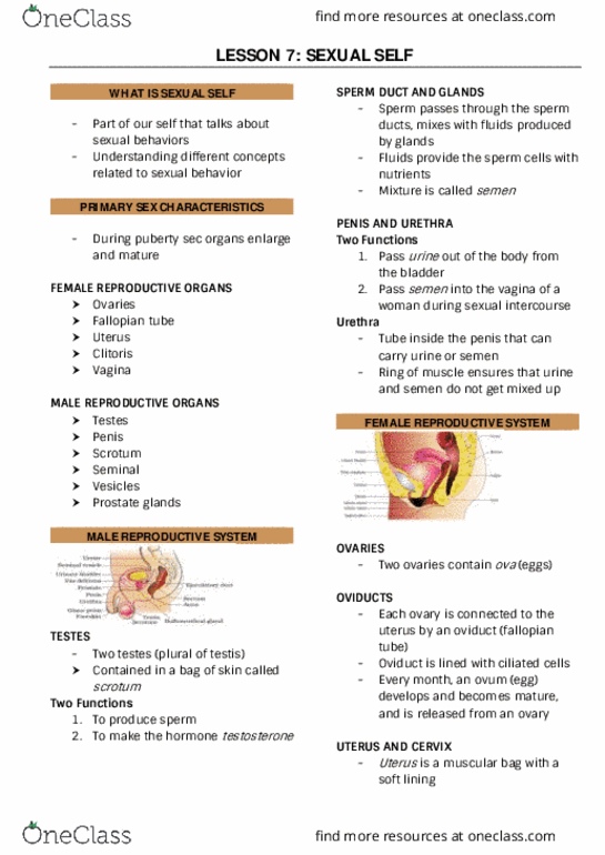 document preview image