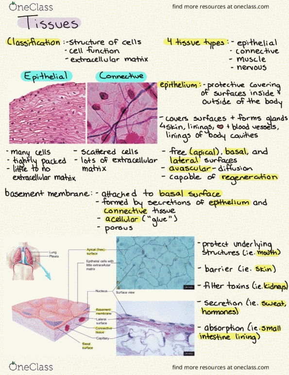 document preview image