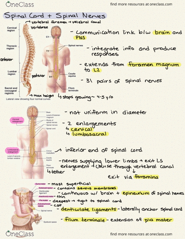 document preview image