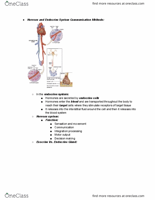 document preview image