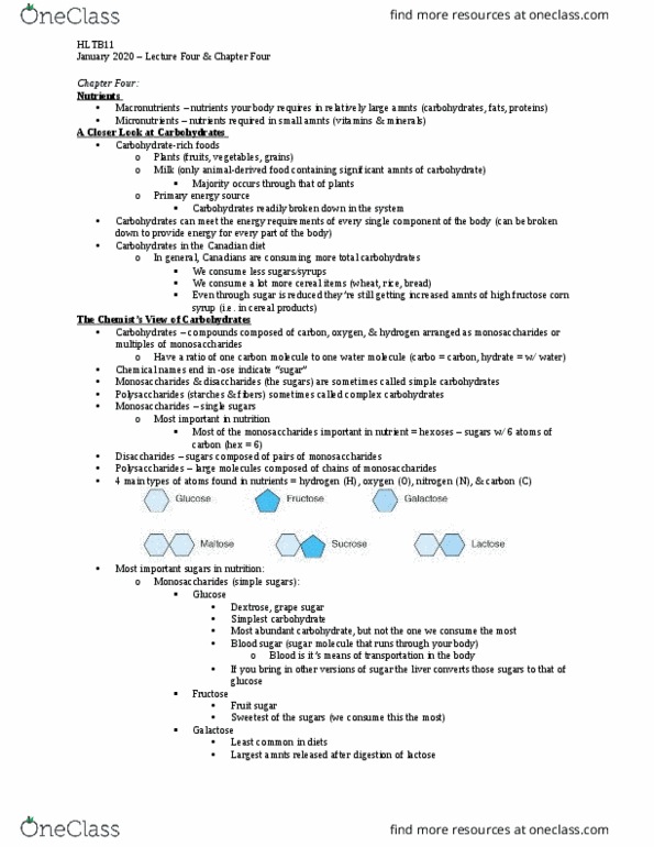 HLTB11H3 Lecture Notes - High Fructose Corn Syrup, Corn Syrup, Carbohydrate thumbnail