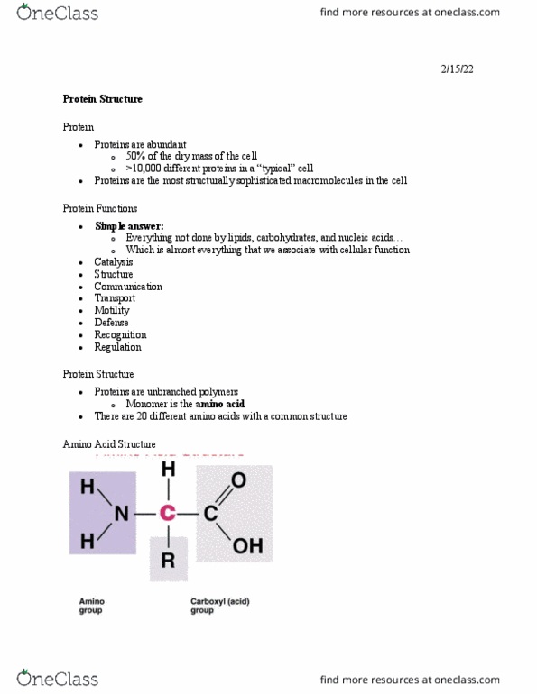BSCI170 Lecture Notes - Motility, Monomer, Covalent Bond thumbnail