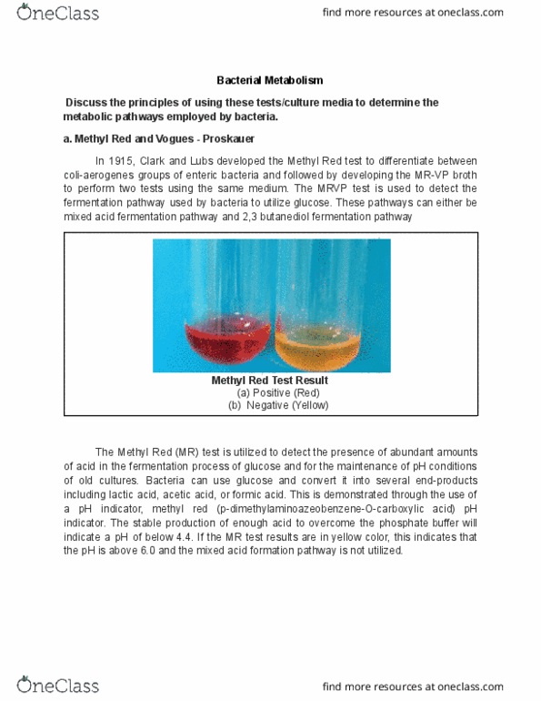advanced-microbiology-study-guide-winter-2023-quiz-methyl-red-ph